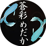 蒼彩めだか